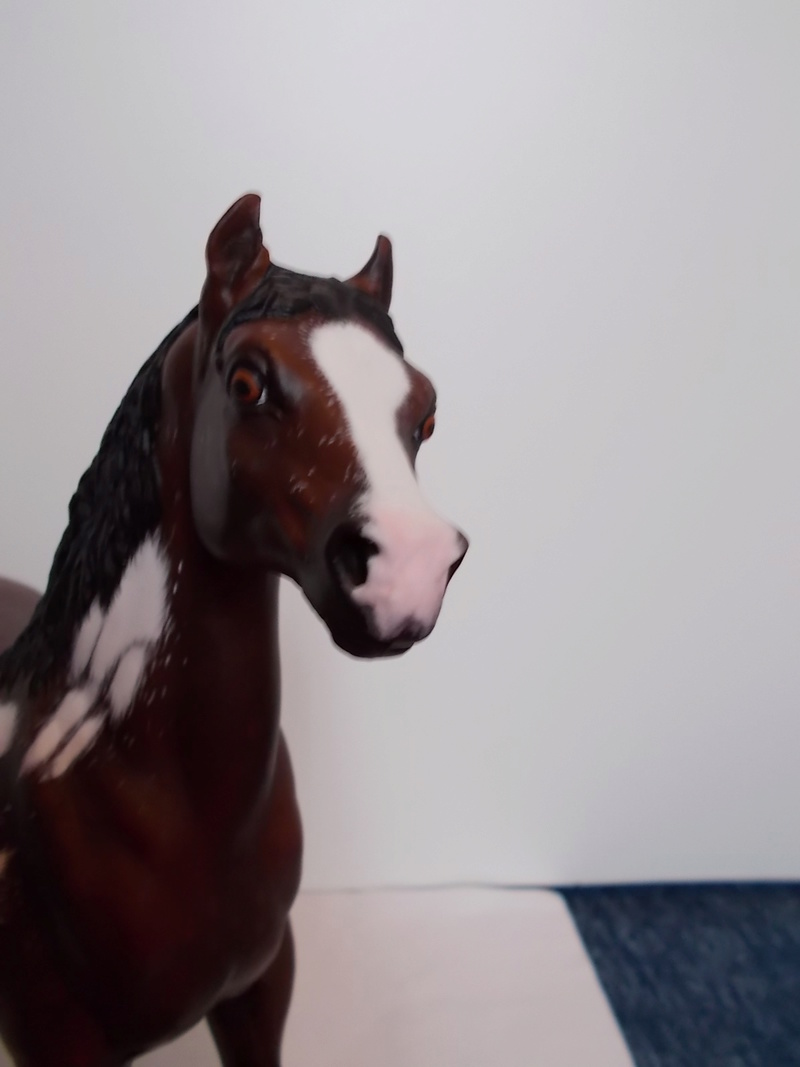 I started with repainting - Schleich horses - Page 8 Breyer13