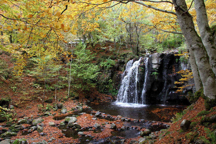 Balade D' automne.. 10_mes10