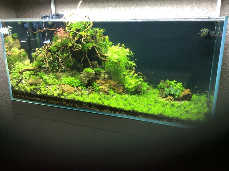 AQUASCAPE 300 Litres Img_0010