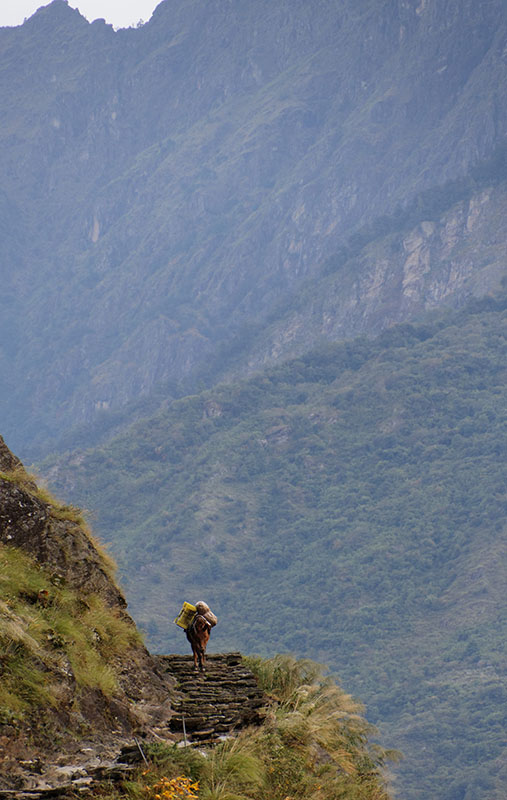 Trekking au Népal... mais sans MP 0644_j10