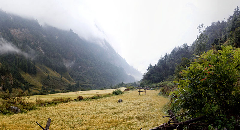 Trekking au Népal... mais sans MP 1380_j10