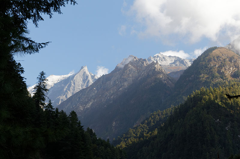 Trekking au Népal... mais sans MP 3439_j10