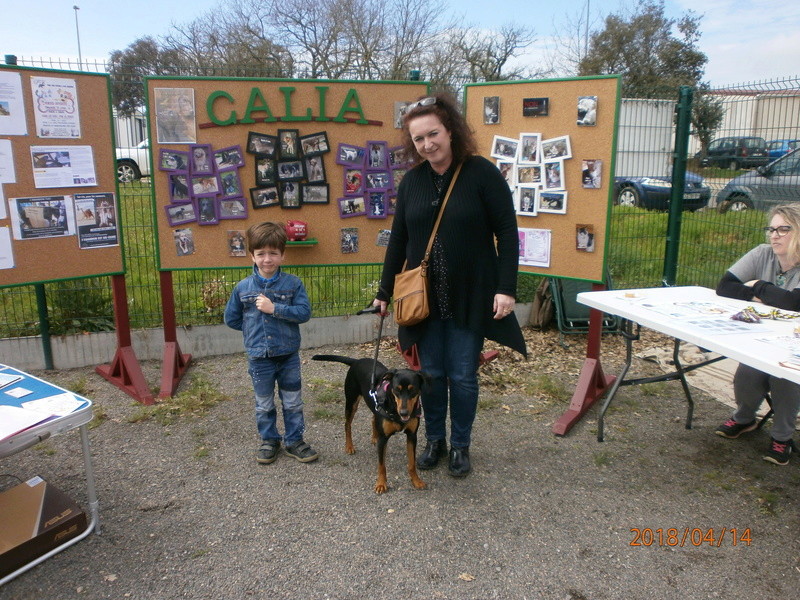 Stand à OS'MOZ le Samedi 14 Avril à Chateau d'Olonne P4140013