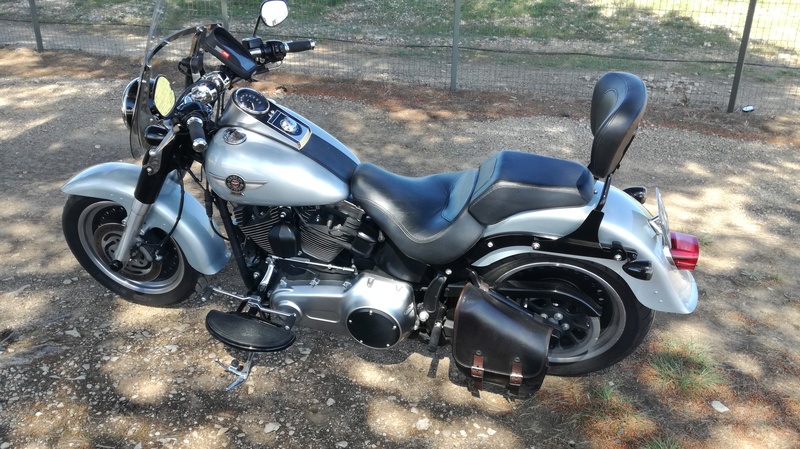 Ce que vous pensez de votre Harley ? - Page 2 Img_2010