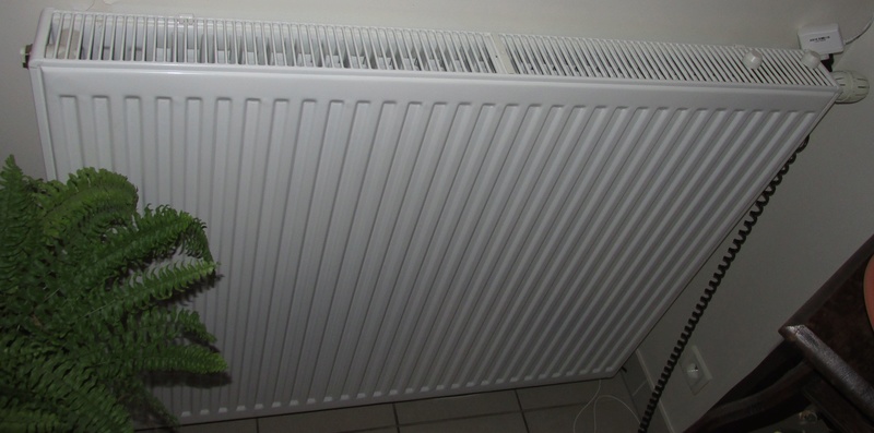 Probleme radiateur froid en bas : Un chauffagiste dans la salle Img_3136