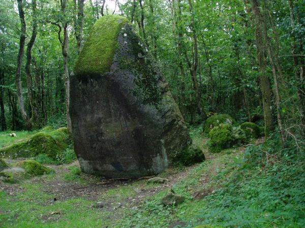 2: Druid Grove Menhir11