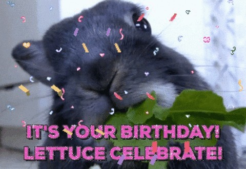 Happy Birthday Malick ! Bunny10
