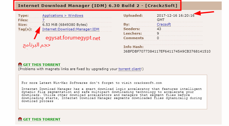 Internet Download Manager (IDM) 6.30 Build 2  Bandic10