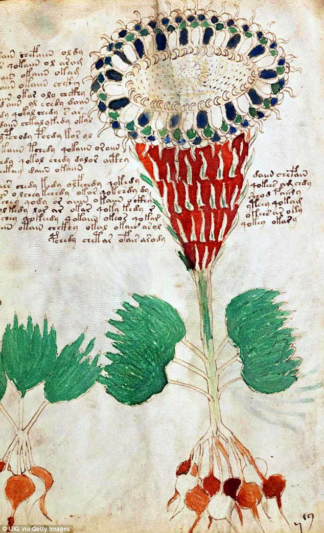 another year, 2018 another claim of Voynich manuscript decipherment  48990e11