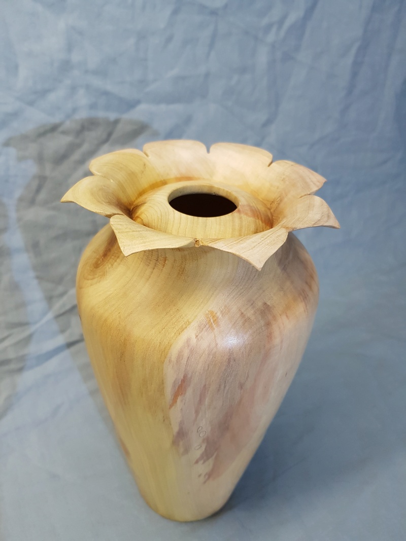 Mon vase a fleurie !  20180213