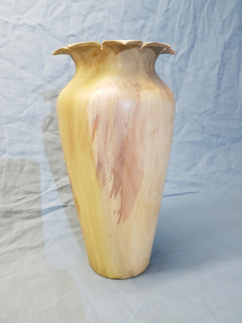 Mon vase a fleurie ! 20180214