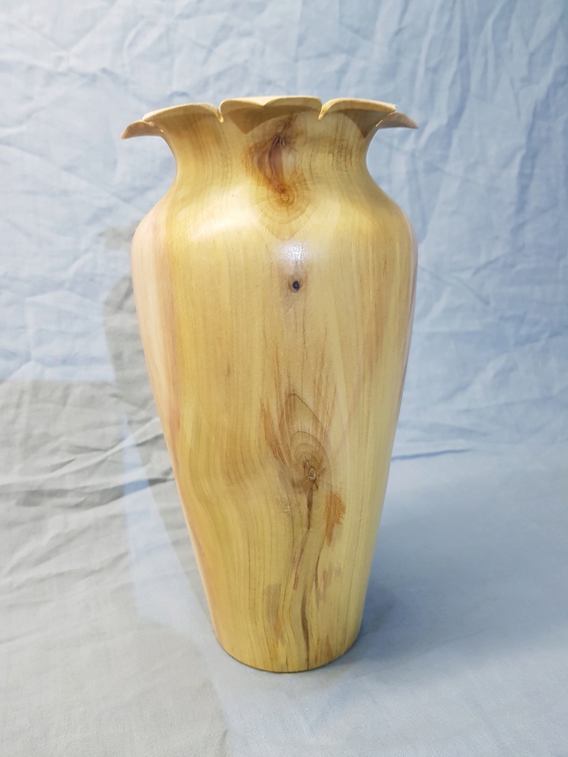 Mon vase a fleurie ! 20180216