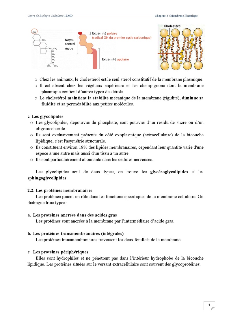 Membrane Plasmique  Cours-22