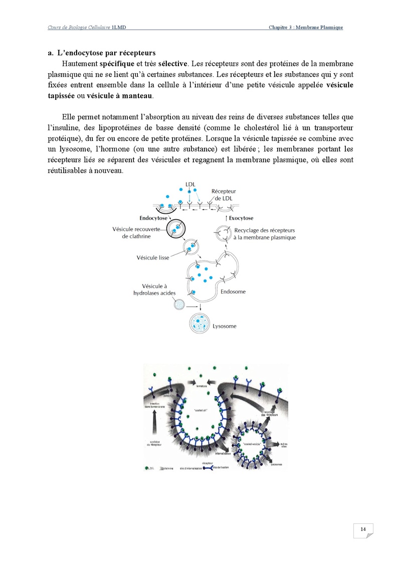 Membrane Plasmique  Cours-33