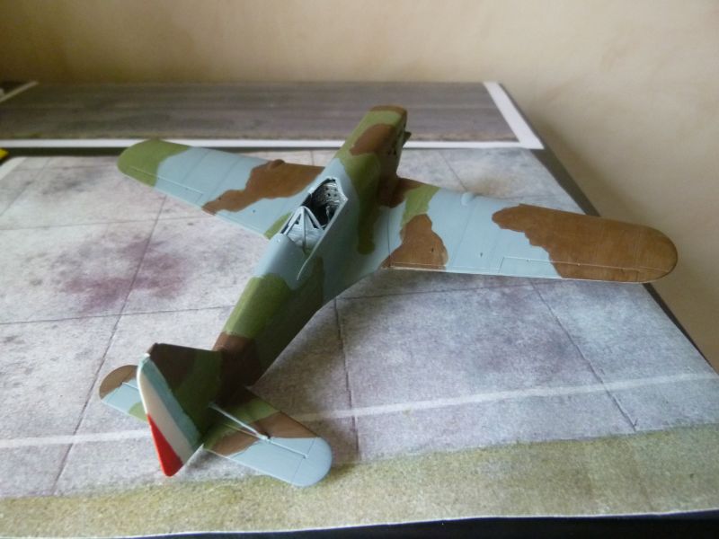 [Hasegawa] Morane Saulnier MS 406 - Page 3 P1080210