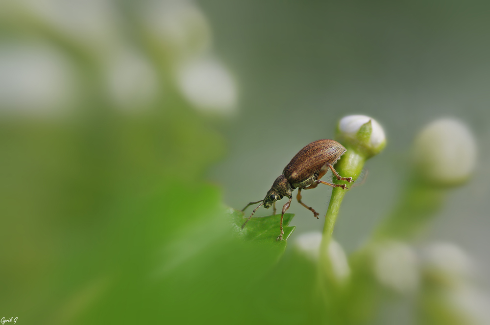 Photos du 19/05/2018 Imgp9524