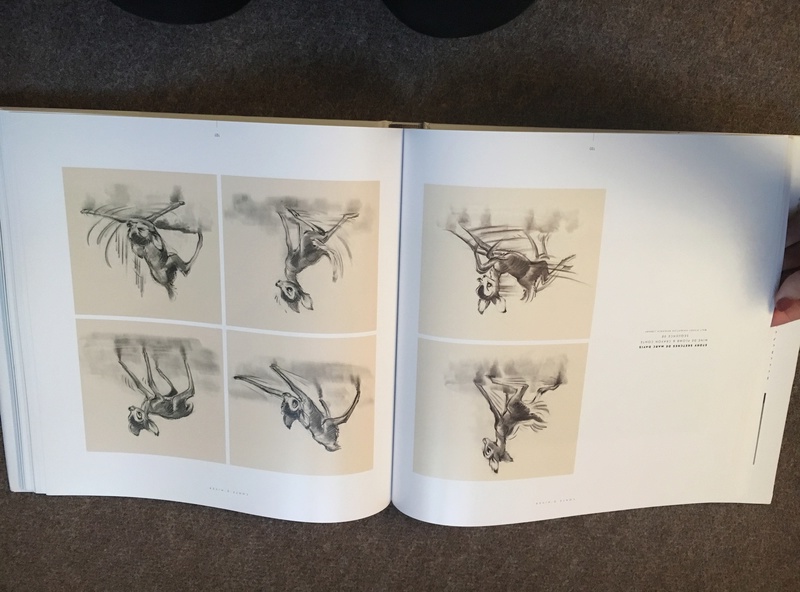 mulan - Les livres d'art des films d'animation (The Art of/Dans les Coulisses de/Pierre Lambert/etc.) - Page 9 Img_4916