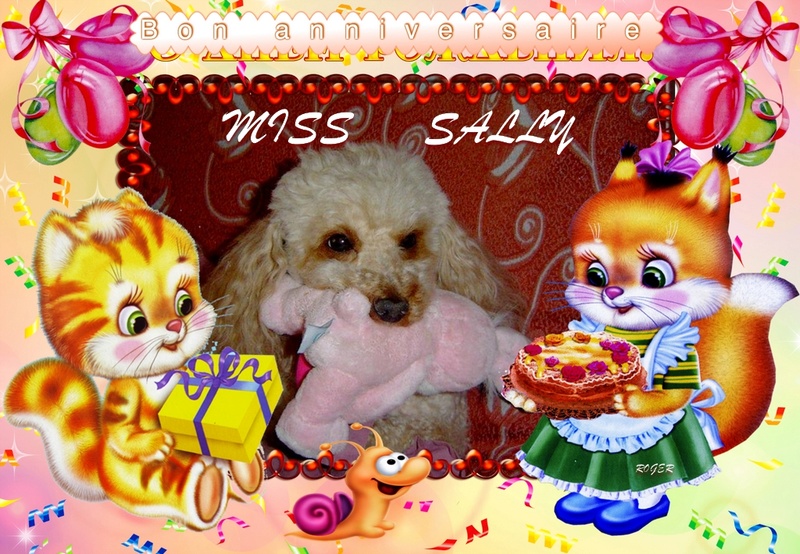 ANNIF SALLY Sally810