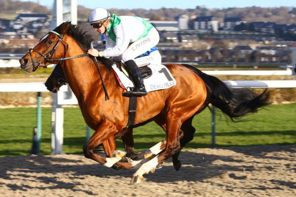  Quinté Prix de la Beauvoisinière - Deauville - Vendredi 5/01/18 003f2311