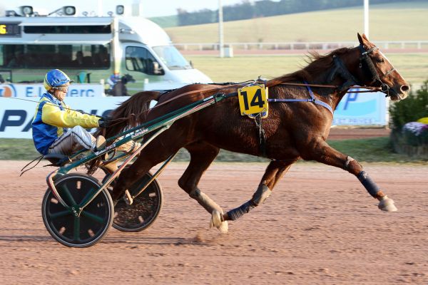 Quinté Prix de Saint-Georges-de-Didonne - Vincennes - Samedi 1/12/18 0500aa11