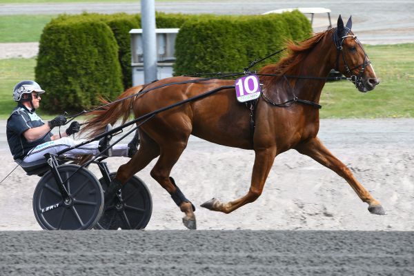 quinte - Quinté Prix de Pomarez - Enghien -Lundi 23/10/17 13b25c10