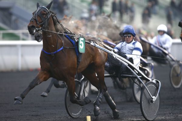 Quinté Prix de Langeais - Vincennes - Jeudi 1/02/18 24898310