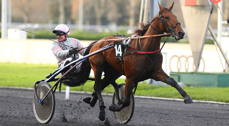 samedi - Prix Paul Leguerney (Prix de Saint Brieuc) - Vincennes - Concours -Samedi 7/04/18 Ermini10