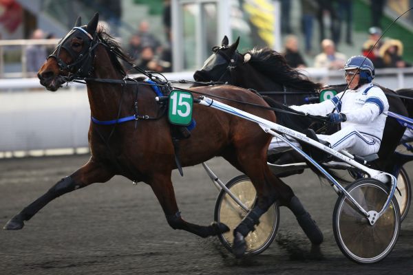  Quinté Prix des Pyrénées - Vincennes-Mardi 5/12/17 Fde64910