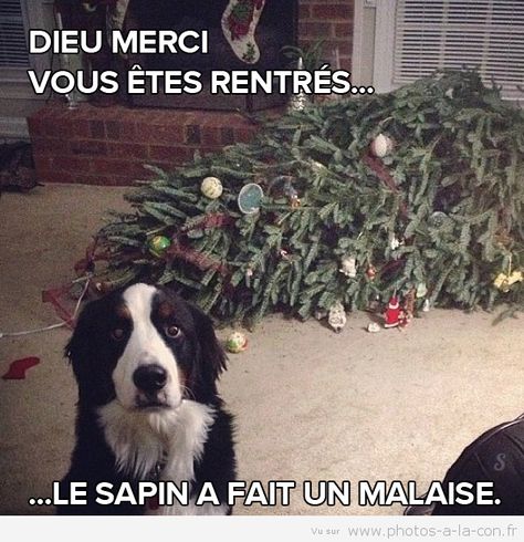 humour en images II - Page 2 01f51f10