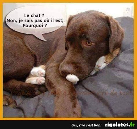 humour en images II - Page 4 970eac10