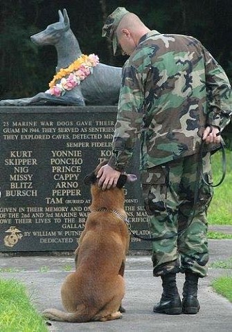 Ces soldats dont on parle peu ! Image111