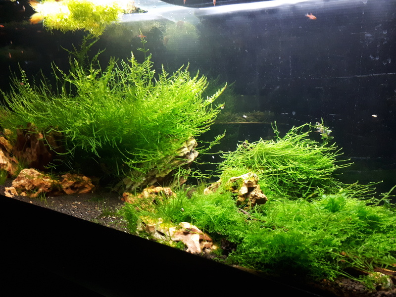 120 litres 00511
