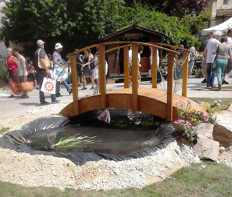 FOIRE AUX PLANTES RARES DE BEZOUOTTE (DEPT 21) Dsc_0019