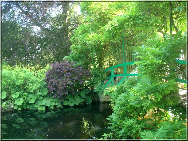 Le "Jardin d'Eau" second jardin de Claude Monet 2513