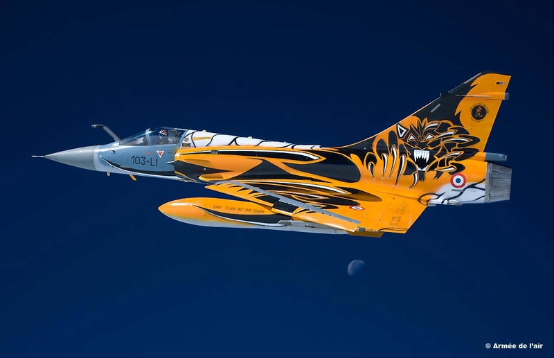 * 1/48 Mirage 2000 H Heller FINI Wings-10