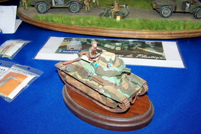 SAUMUR (49 MAINE ET LOIRE) Compte rendu et photos de la 32ème Exposition de juin 2018 ... 100_3224