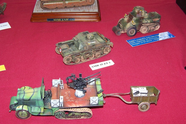 SAUMUR (49 MAINE ET LOIRE) Compte rendu et photos de la 32ème Exposition de juin 2018 ... 100_3228