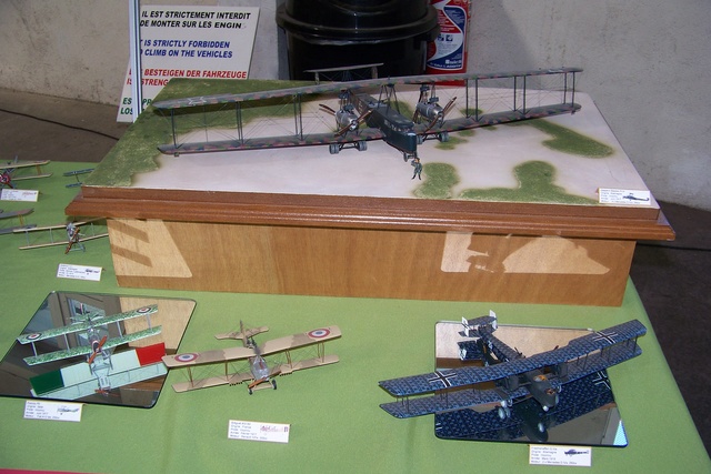 SAUMUR (49 MAINE ET LOIRE) Compte rendu et photos de la 32ème Exposition de juin 2018 ... 100_3241