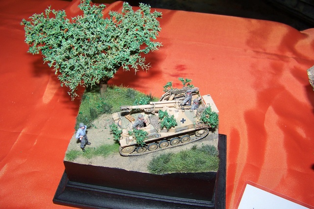 SAUMUR (49 MAINE ET LOIRE) Compte rendu et photos de la 32ème Exposition de juin 2018 ... 100_3327