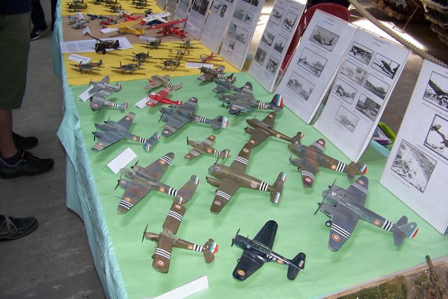 SAUMUR (49 MAINE ET LOIRE) Compte rendu et photos de la 32ème Exposition de juin 2018 ... 100_3337