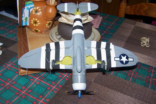 1/48 P47 D " RAZORBACK " Picauville juillet 44  Tamiya  - Page 2 100_3365