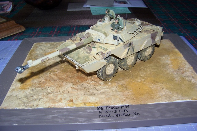 [TIGER MODEL] AMX 10 RC opération DAGUET 1/35ème Réf 4609 29510110