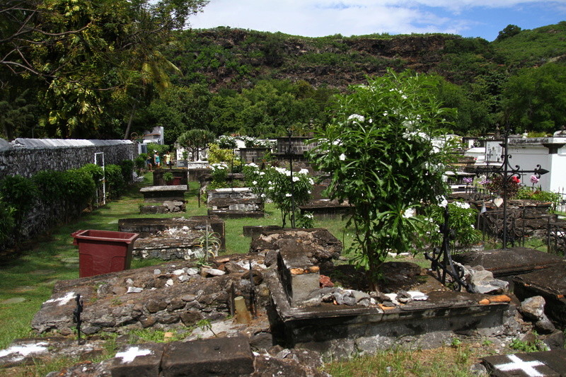 [fil ouvert] Balade à la Réunion  - Page 3 Img_8317