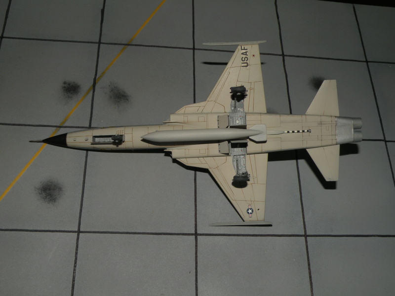[Hobby boss/ Italeri] Northrop F-5E tiger II Dscn8213