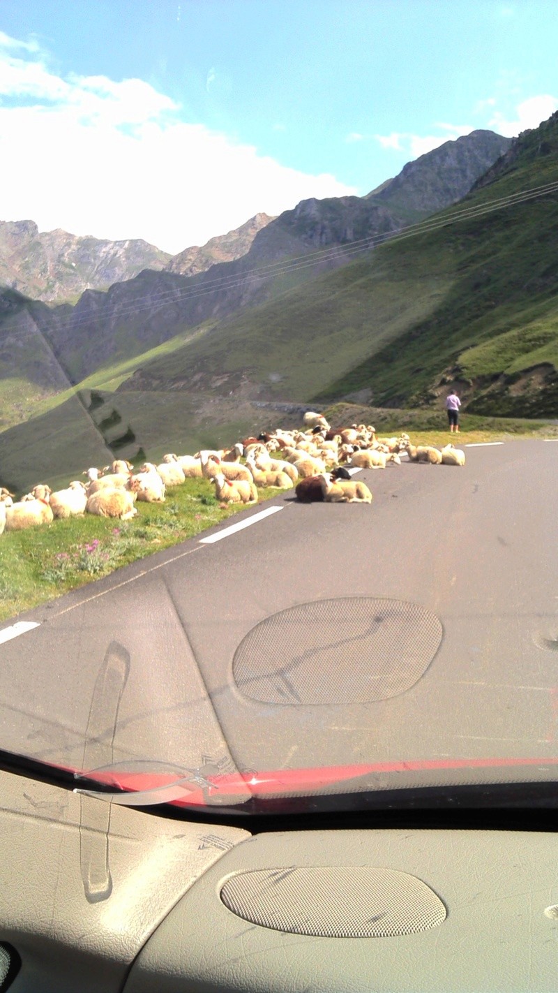 Ballade dans les Pyrénées 61555610