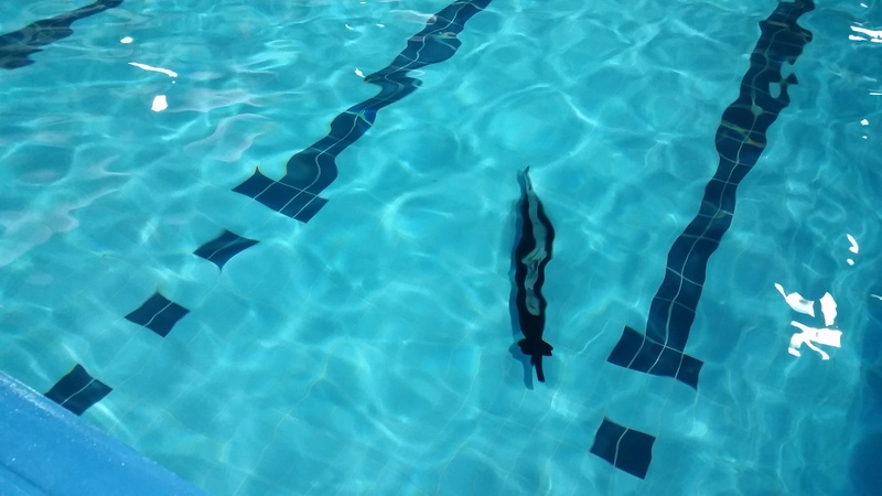 The Model Show - winter indoor swimming pool sailing - Poynton, Stockport 9,10th December 2017 20171219