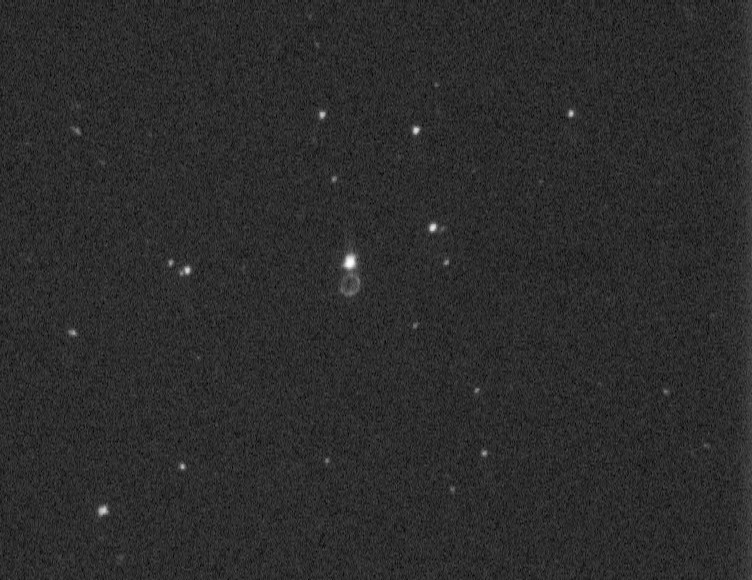 Observation spectro d'étoiles Be faibles au T60 du Pic Hd259410