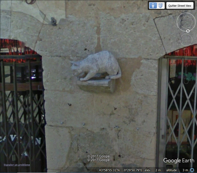 STREET VIEW / Les chats de La Romieu - Gers - France Aaa10