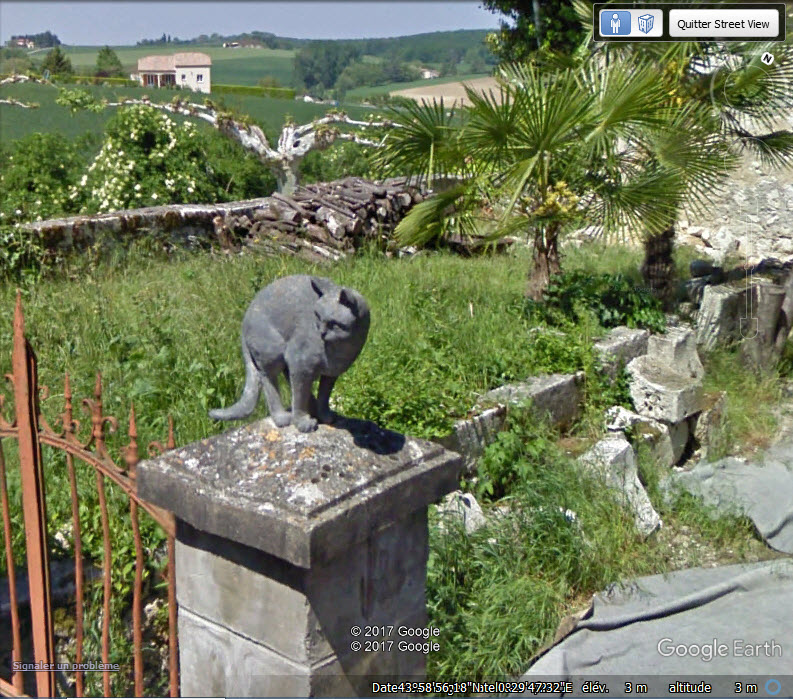 STREET VIEW / Les chats de La Romieu - Gers - France Mmm10