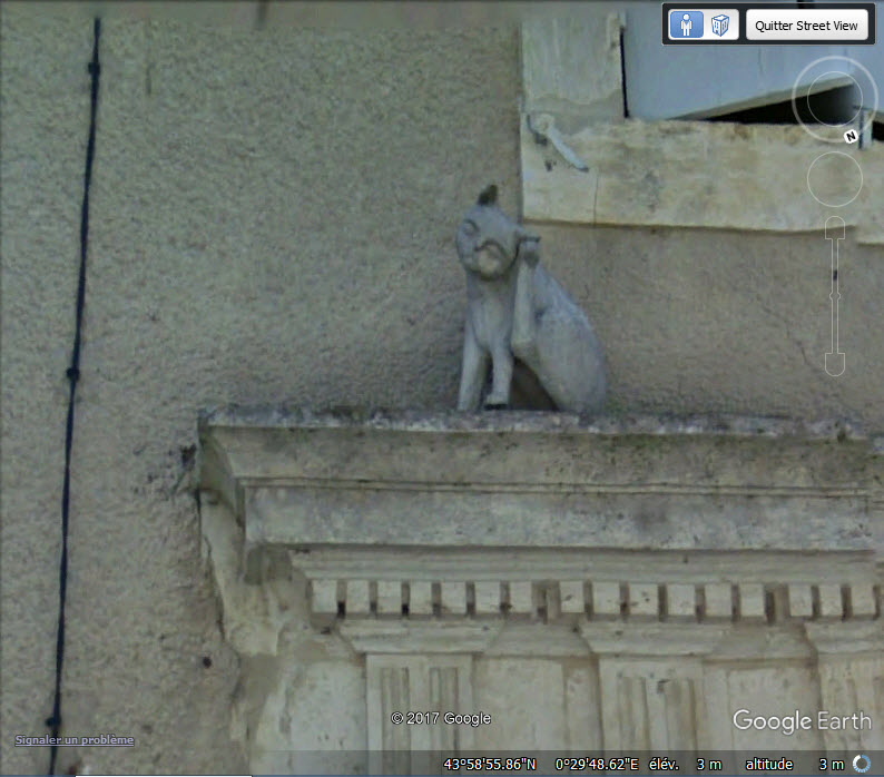 STREET VIEW / Les chats de La Romieu - Gers - France Nnn10